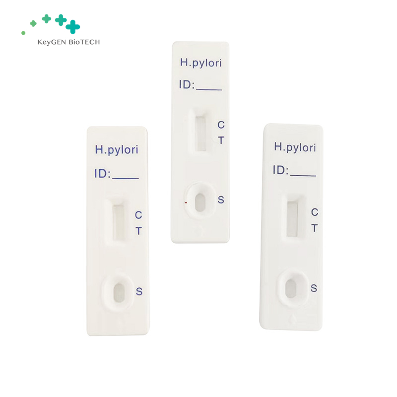 مستضد اختبار H.Pylori